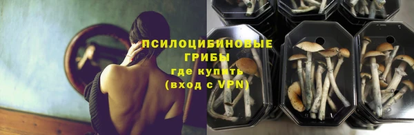 кокаин Белокуриха
