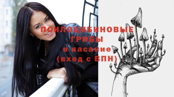 стаф Беломорск