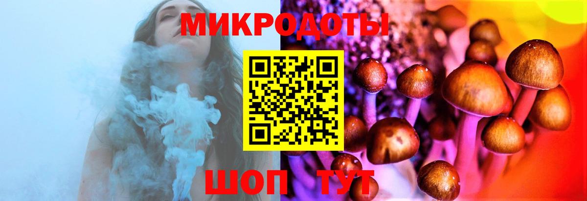 Псилоцибиновые грибы Psilocybe  Вход с VPN  Гай 